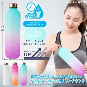 タイムマーカーボトル 1000mL 1個入 ブル...の商品画像