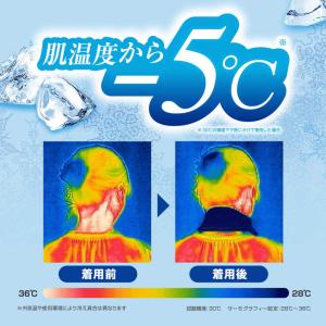 アイスノン 冷んやりタオル 個包装 無香料 1...の詳細画像3