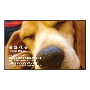 写真名刺　カラー印刷　2503　全面　犬　30枚　名刺デザイン