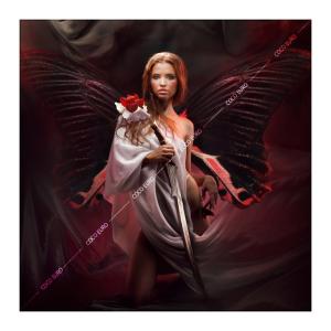 COCOEURO アート作品 Butterfly wings Size 1500x1500 アート 装飾 壁 絵 最上位モデル 高級 フレームレス 正規品