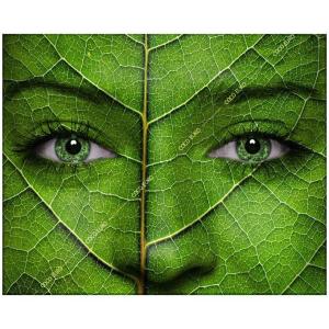 COCOEURO アクリル作品 Green 900*1150 PLEXIGLAS LUXE 高級 ブランド ベッドルーム ホテル 絵