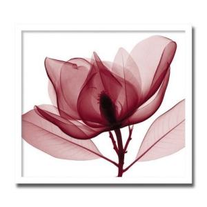 絵画 壁掛け インテリア アート MAGNOL...の詳細画像1