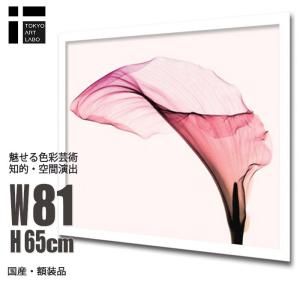 絵画 壁掛け インテリア アート Calla カラ 北欧 モダン インテリア 壁掛け 絵 アート おしゃれ 花 植物 自然 写真 アートパネル