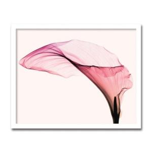 絵画 壁掛け インテリア アート Calla ...の詳細画像1