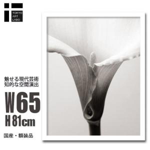 絵画 壁掛け インテリア アート Calla カラー 北欧 モダン インテリア 壁掛け 絵 アート おしゃれ 花 植物 自然 写真 アートパネル