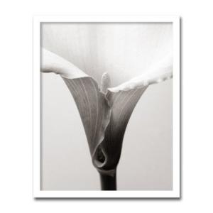 絵画 壁掛け インテリア アート Calla ...の詳細画像1