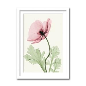 絵画 額付き 北欧 インテリア 壁掛け POPPY ポピー ヒナゲシ おしゃれ モダン 絵画 花 壁掛け 北欧 額付き ボタニカル リビング 玄関 絵