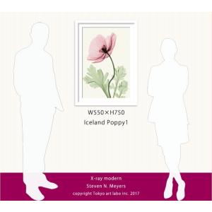 絵画 額付き 北欧 インテリア 壁掛け POP...の詳細画像1