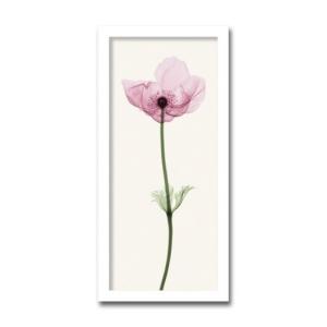 絵画 北欧 インテリア ANEMONE アネモネ...の商品画像