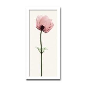 絵画 北欧 インテリア ANEMONE アネモネ...の商品画像