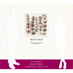 絵画 額付き 北欧 インテリア 壁掛け Euc...の詳細画像1