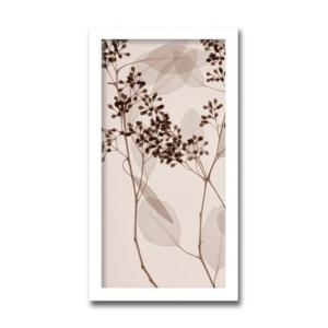 絵画 北欧 インテリア Eucalyptus ア...の商品画像
