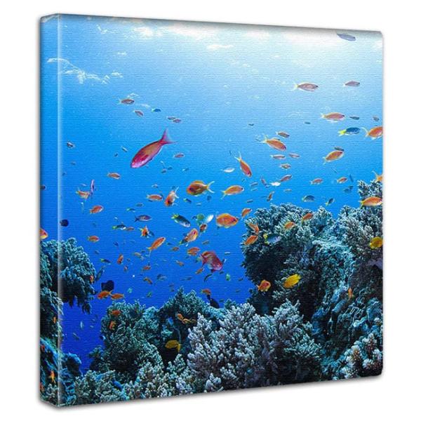 GRAPART アートパネル 水中写真 キャンバスアート 壁掛け 絵 インテリア おしゃれ 海 海中...