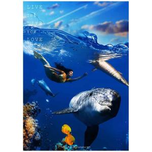 ポスター アートポスター A4 海 おしゃれ インテリア 絵 壁掛け 玄関