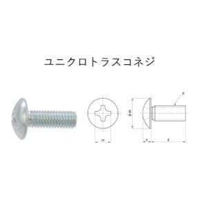 取付ネジ ユニクロトラスコネジ　4X25