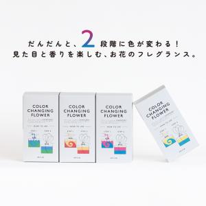 カラーチェンジングフラワー / アートラボ A...の詳細画像1