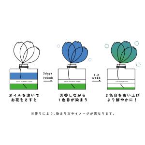 カラーチェンジングフラワー / アートラボ A...の詳細画像3