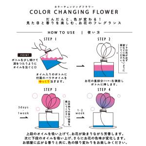 カラーチェンジングフラワー / アートラボ A...の詳細画像4