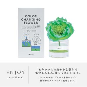 カラーチェンジングフラワー / アートラボ A...の詳細画像5