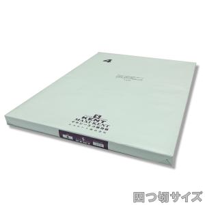 エスケント マキシー 再生画用紙 No.150 中性紙 八つ切 392×271mm 厚さ