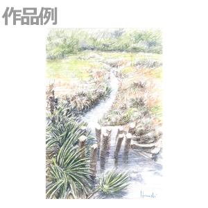 北星鉛筆 WCP-13 大人の水彩色鉛筆3.3...の詳細画像5