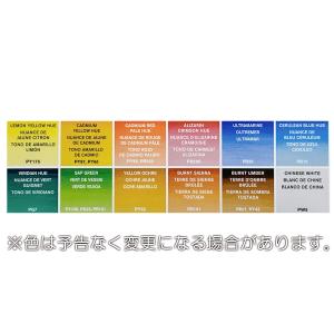 [ メール便可 ] ウィンザー&ニュートン コ...の詳細画像2