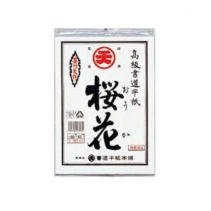 muse アルシュ社製 木炭紙 MBM 厚口105g 10枚組 【 描画用紙 絵画 木炭