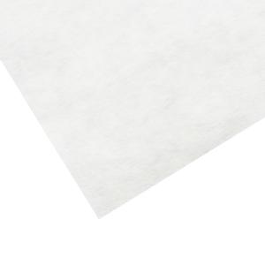 水墨画用 雁皮紙 10枚