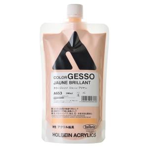 ホルベイン　アクリラ　アクリル　ジェッソ　カラージェッソ　モデペ　まとめ売り ホルベイン カラージェッソ 300mL ブラックジェッソ AM436 【 下地剤