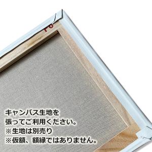 キャンバス用 木枠 F6号 41.0×31.8...の詳細画像1