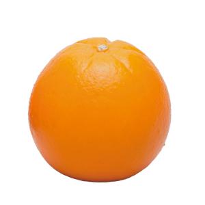 画材 ものづくりのアートロコ モデル モデル台 絵画用品 絵の具 Yahoo ショッピング