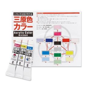 ターナー アクリルガッシュ 36色セット 20ml AG02036C 【 絵具