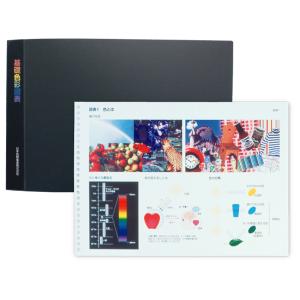 PCCS基本掛図 日本色研 PCCS色相環 PCCSのトーン分類 B2判 2チャート