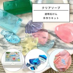 手作り石けんスターターセットA（道具セット） : tecoloてころ
