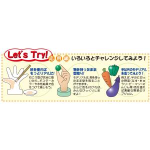 石膏型取りキット モデリアル 【 石こう 型取...の詳細画像3