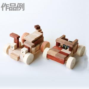 机太郎ドライラボ模型 白内障手術練習用模擬眼 眼科手技模型 : 人体