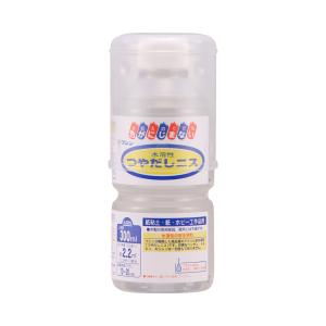 RAC-10 電子店名スタンプ カシオ レジスター TE-120 TE-300 TE-340 TE