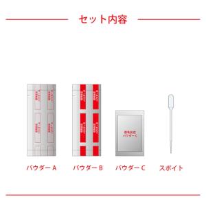 [ メール便可 ] おうちでできる実験キット ...の詳細画像2