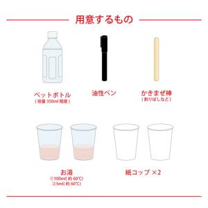 [ メール便可 ] おうちでできる実験キット ...の詳細画像3