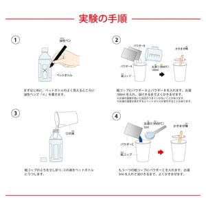 [ メール便可 ] おうちでできる実験キット ...の詳細画像4