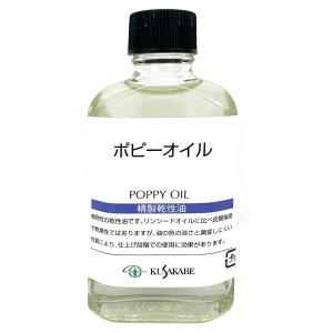 ホルベイン ジェッソ  ブラックジェッソ詰替用 AM436 300ml qqffhab Amazon.com: ホルベイン アクリラ 300ml カラージェッソ