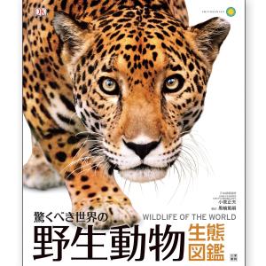 野生動物 生体図鑑 日東書院本社 小菅正夫著 書籍 【 本 ずかん 図鑑 生き物図鑑 動物図鑑 動物 ギフト プレゼント 】｜artloco