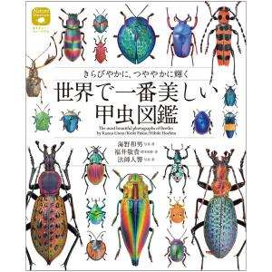 [ メール便可 ] 世界で一番美しい甲虫図鑑 書籍 誠文堂新光社