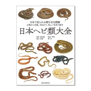 日本ヘビ類大全 誠文堂新光社 書籍 【 へび 図...の商品画像