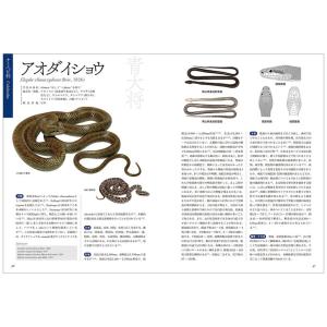 日本ヘビ類大全 誠文堂新光社 書籍 【 へび ...の詳細画像1