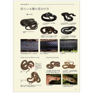 日本ヘビ類大全 誠文堂新光社 書籍 【 へび ...の詳細画像4