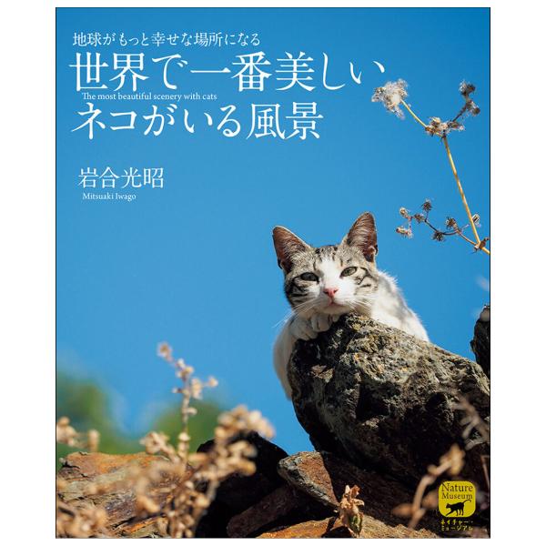 世界で一番美しい ネコがいる風景 岩合 光昭 誠文堂新光社 書籍 【 猫 写真集 】