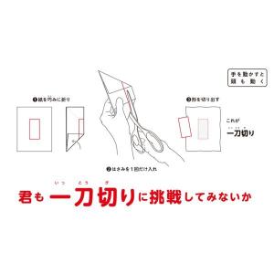 [ メール便可 ] DEDEkit デデキット...の詳細画像3