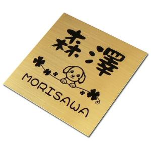 表札 ステンレス表札 犬表札 猫表札 ゴールドステンレス表札 Dglm Dc Www Viaprodesarrollo Edu Py Index Php