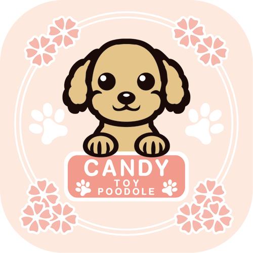 ステッカー 犬　ステッカー 車  シール